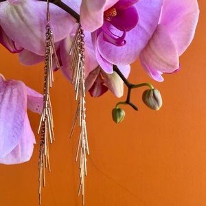 Gold Tassel Zara Earrings 💫